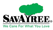 savatree logo